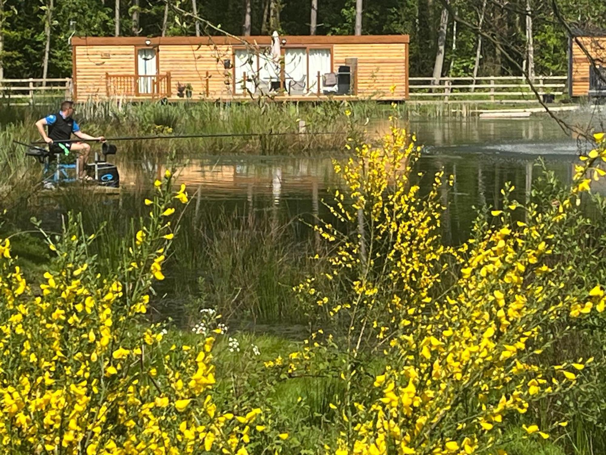 Oak Boutique Lodge Includes Hot Tub Air Con & Dog ヨーク エクステリア 写真